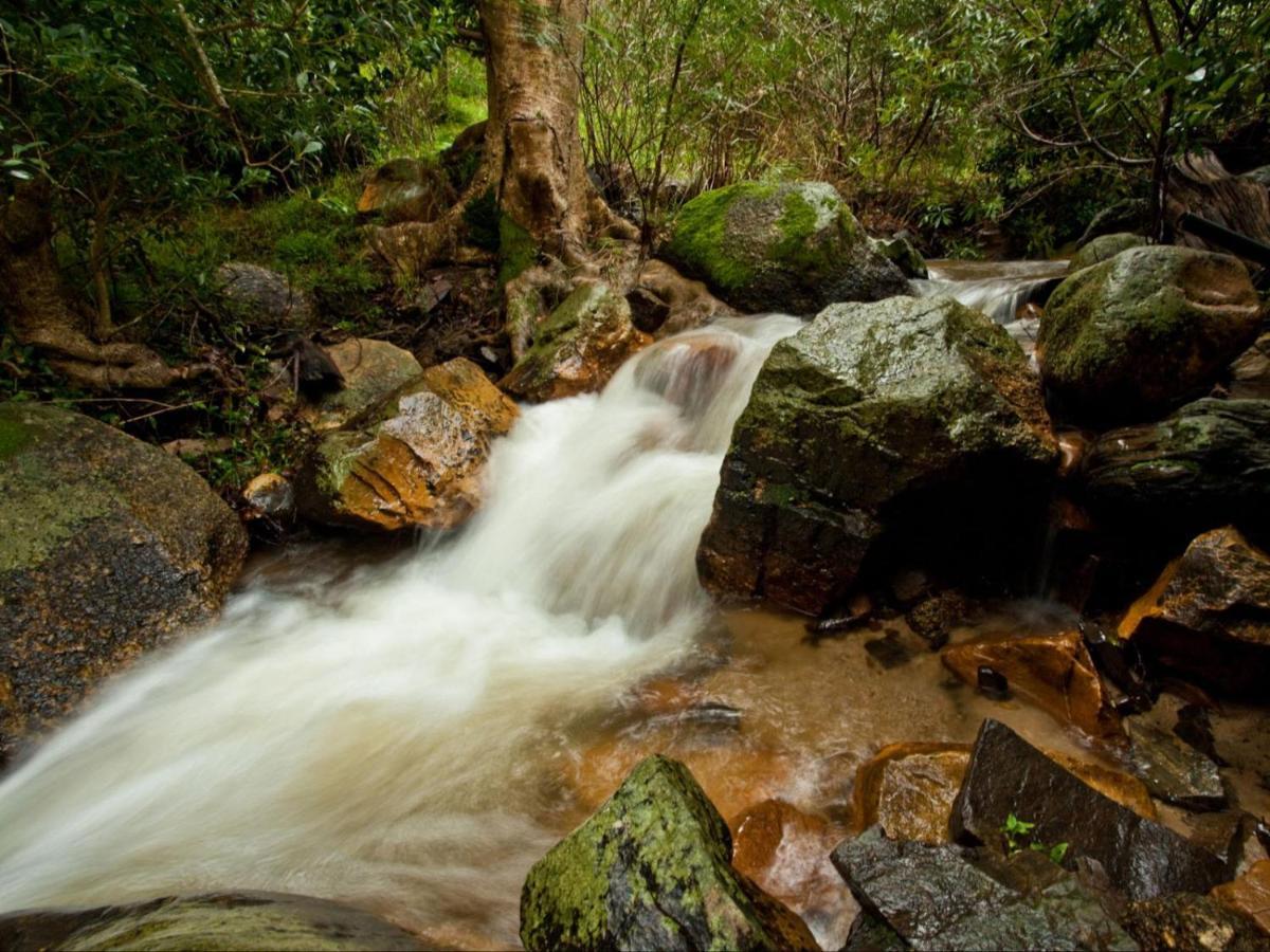 Retreat At Waterfall Valley Paarl Buitenkant foto