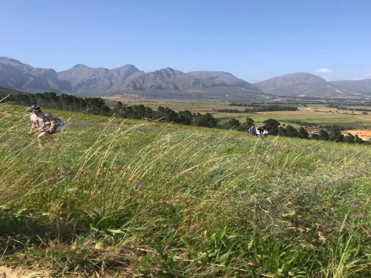 Retreat At Waterfall Valley Paarl Buitenkant foto